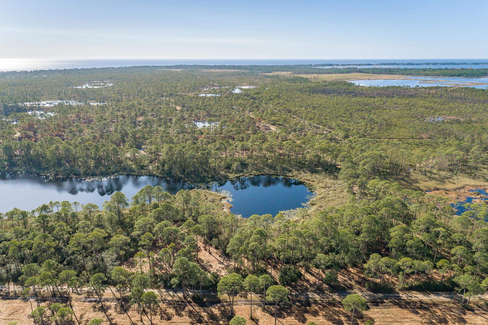 204 Maple Street Alligator Point, FL 32346 - Photo 10 of 15