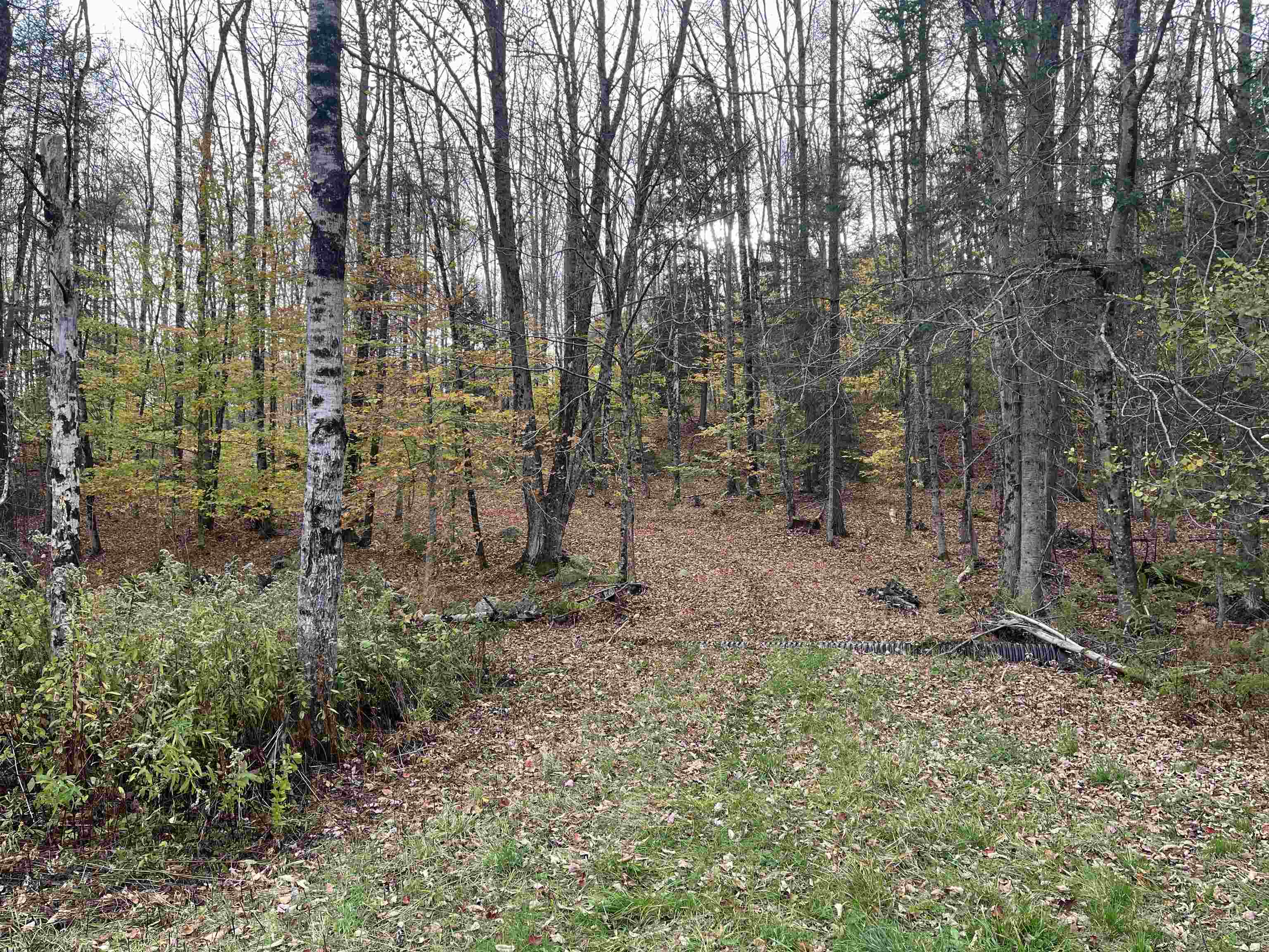 124 Goodfellow Road Groton, VT 05046 - Photo 2 of 24