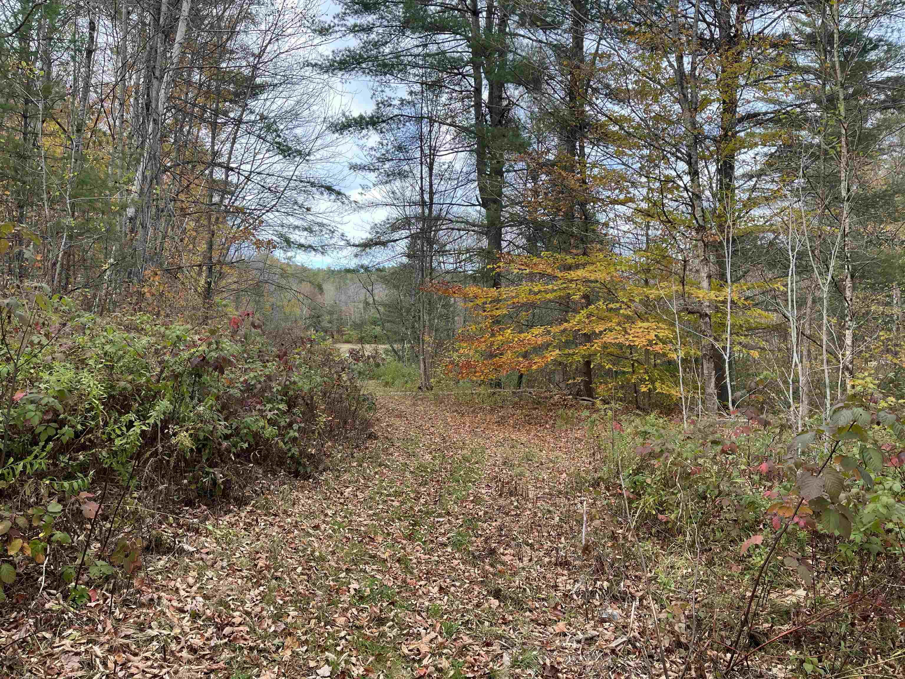 124 Goodfellow Road Groton, VT 05046 - Photo 21 of 24
