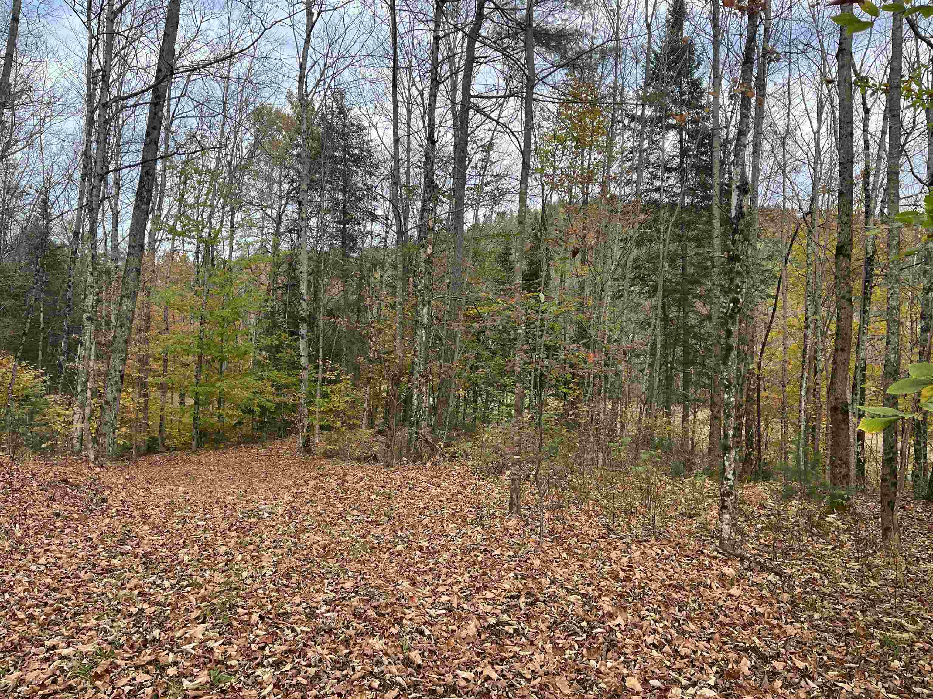 124 Goodfellow Road Groton, VT 05046 - Photo 22 of 24