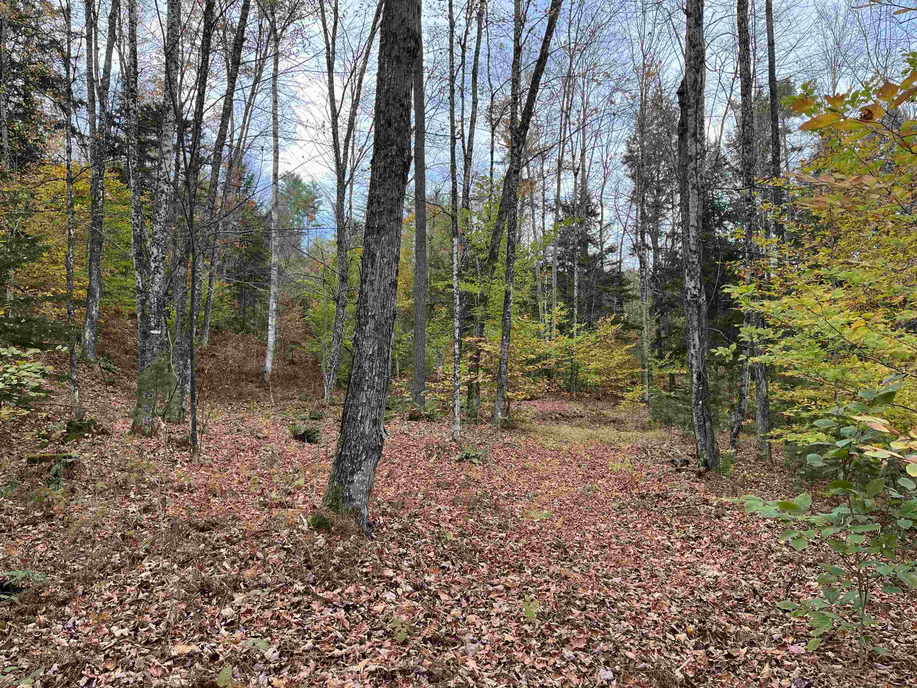 124 Goodfellow Road Groton, VT 05046 - Photo 10 of 24