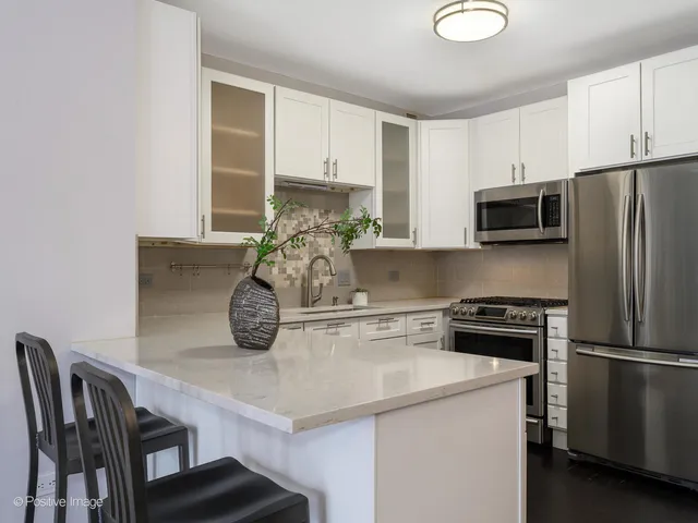 $485,000 | 21 West Chestnut Street, Unit 1202, Chicago, IL 60654