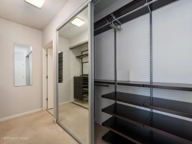 $485,000 | 21 West Chestnut Street, Unit 1202, Chicago, IL 60654