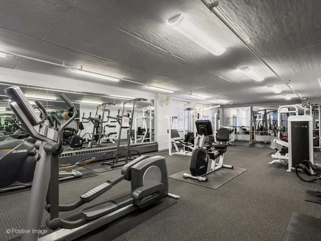 $485,000 | 21 West Chestnut Street, Unit 1202, Chicago, IL 60654