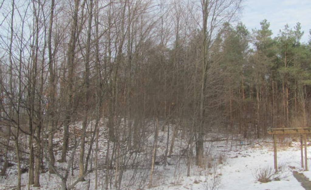 18718 Marilla Road Copemish, MI 49625 - Photo 28 of 32 1857234-27.JPG