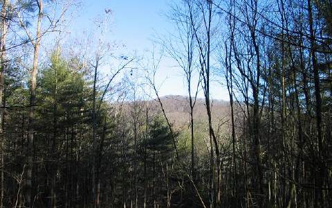 Lot 6 Clate Fain Road Murphy, NC 28906 - Photo 1 of 1 Main View