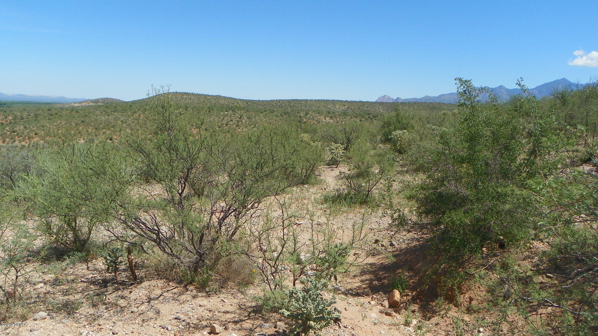62 Camino Olympia, Unit 20 Rio Rico, AZ 85648 - Photo 4 of 8 a view of mountain with trees in background