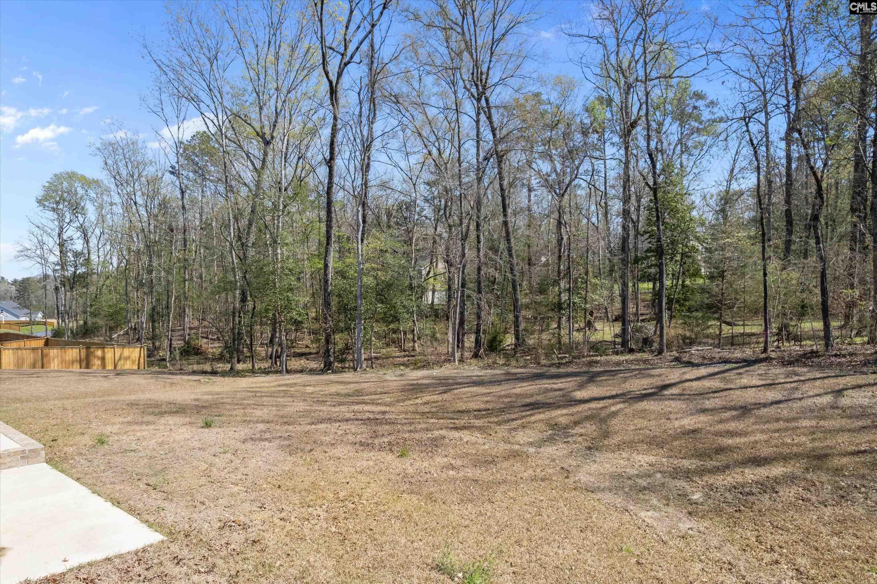 558 Wild Ginger Loop Irmo, SC 29063 - Photo 42 of 42 a backyard of a house with trees