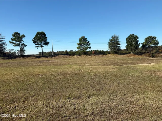 $35,000 | 136 Pinewood Cove, Snow Hill, NC 28580