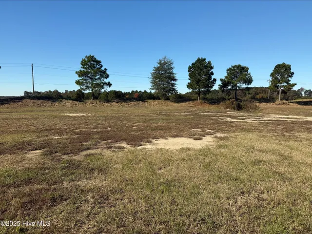 $35,000 | 136 Pinewood Cove, Snow Hill, NC 28580