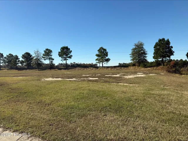 $35,000 | 136 Pinewood Cove, Snow Hill, NC 28580