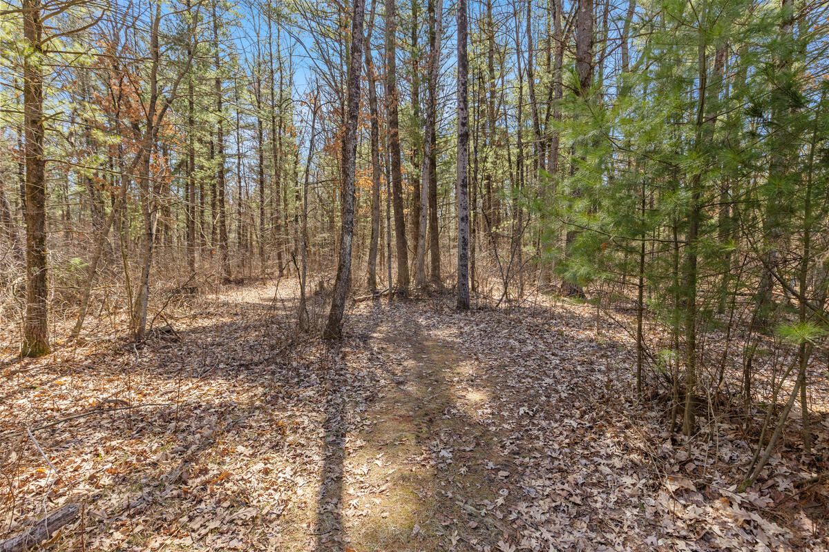 21161 Gates Road Howard City, MI 49329 - Photo 29 of 30 21161-Gates_029