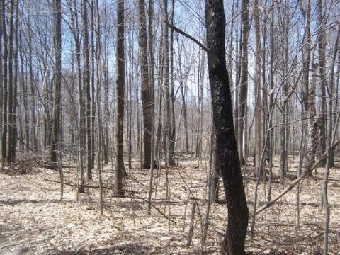 6623 Gravel Ridge Road Lakeview, MI 48850 - Photo 21 of 24 Additional Photo