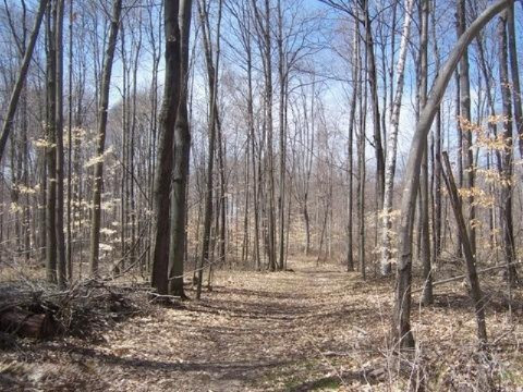 6623 Gravel Ridge Road Lakeview, MI 48850 - Photo 22 of 24 Additional Photo