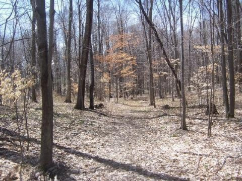 6623 Gravel Ridge Road Lakeview, MI 48850 - Photo 23 of 24 Additional Photo