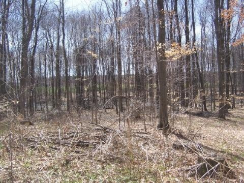 6623 Gravel Ridge Road Lakeview, MI 48850 - Photo 24 of 24 Additional Photo