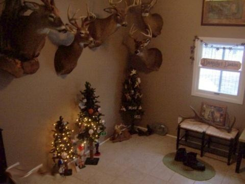 6623 Gravel Ridge Road Lakeview, MI 48850 - Photo 7 of 24 Additional Photo