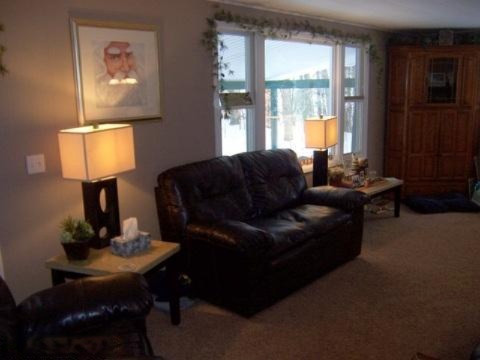 6623 Gravel Ridge Road Lakeview, MI 48850 - Photo 8 of 24 Additional Photo