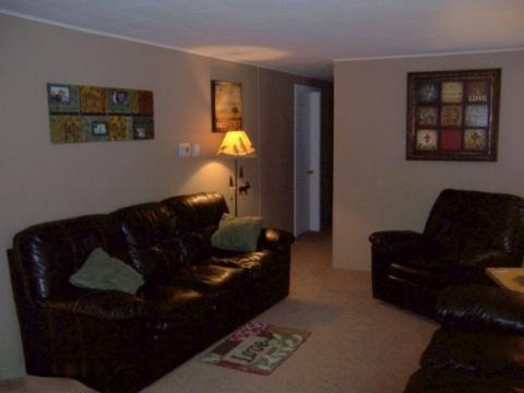 6623 Gravel Ridge Road Lakeview, MI 48850 - Photo 9 of 24 Additional Photo