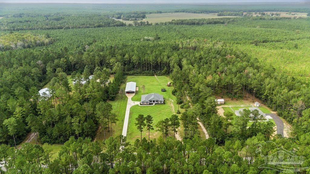 1571 Annie Penton Road Jay, FL 32565 - Photo 7 of 46 a view of a big yard with large trees