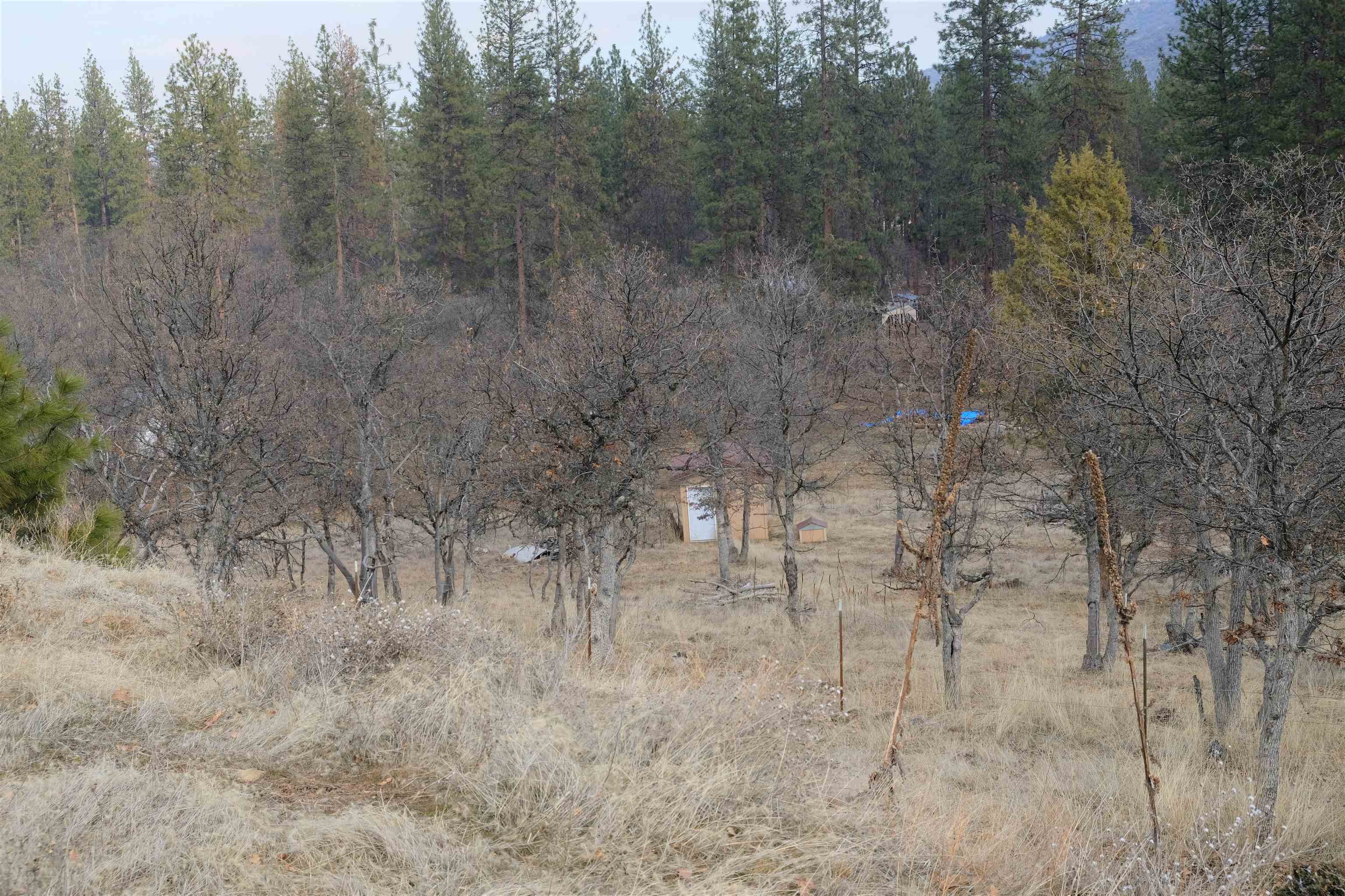 4902 Travis Heights Road Yreka, CA 96097 - Photo 8 of 32 Gallery Image 8