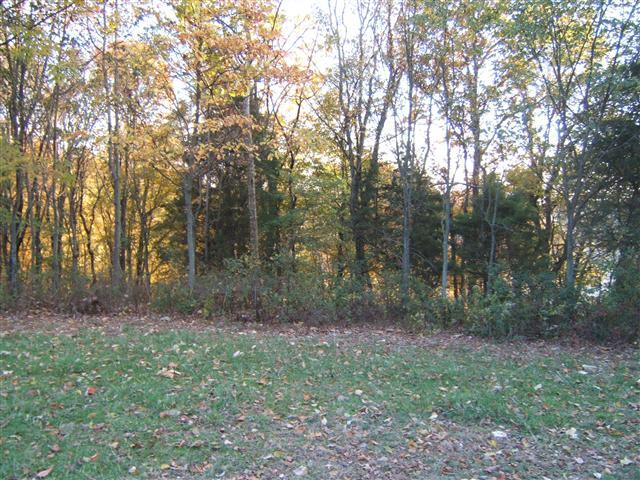 2000 Old Bottom Road Lafayette, TN 37083 - Photo 2 of 5 Gallery Image 2