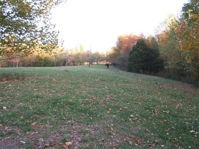 2000 Old Bottom Road Lafayette, TN 37083 - Photo 3 of 5 Gallery Image 3
