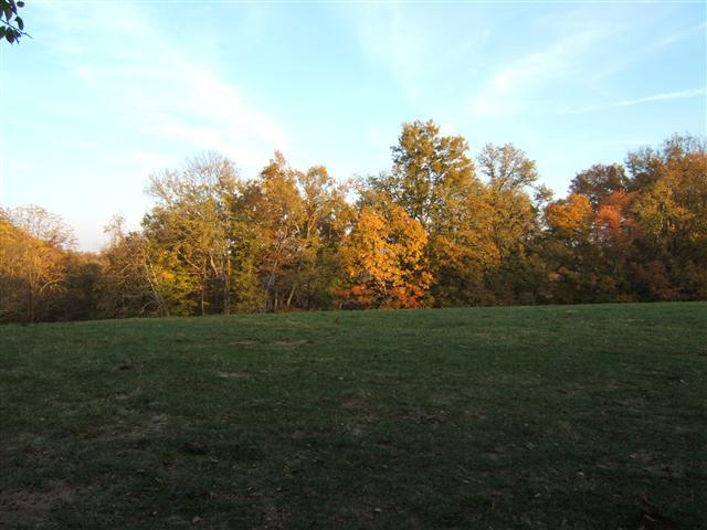 2000 Old Bottom Road Lafayette, TN 37083 - Photo 4 of 5 Gallery Image 4