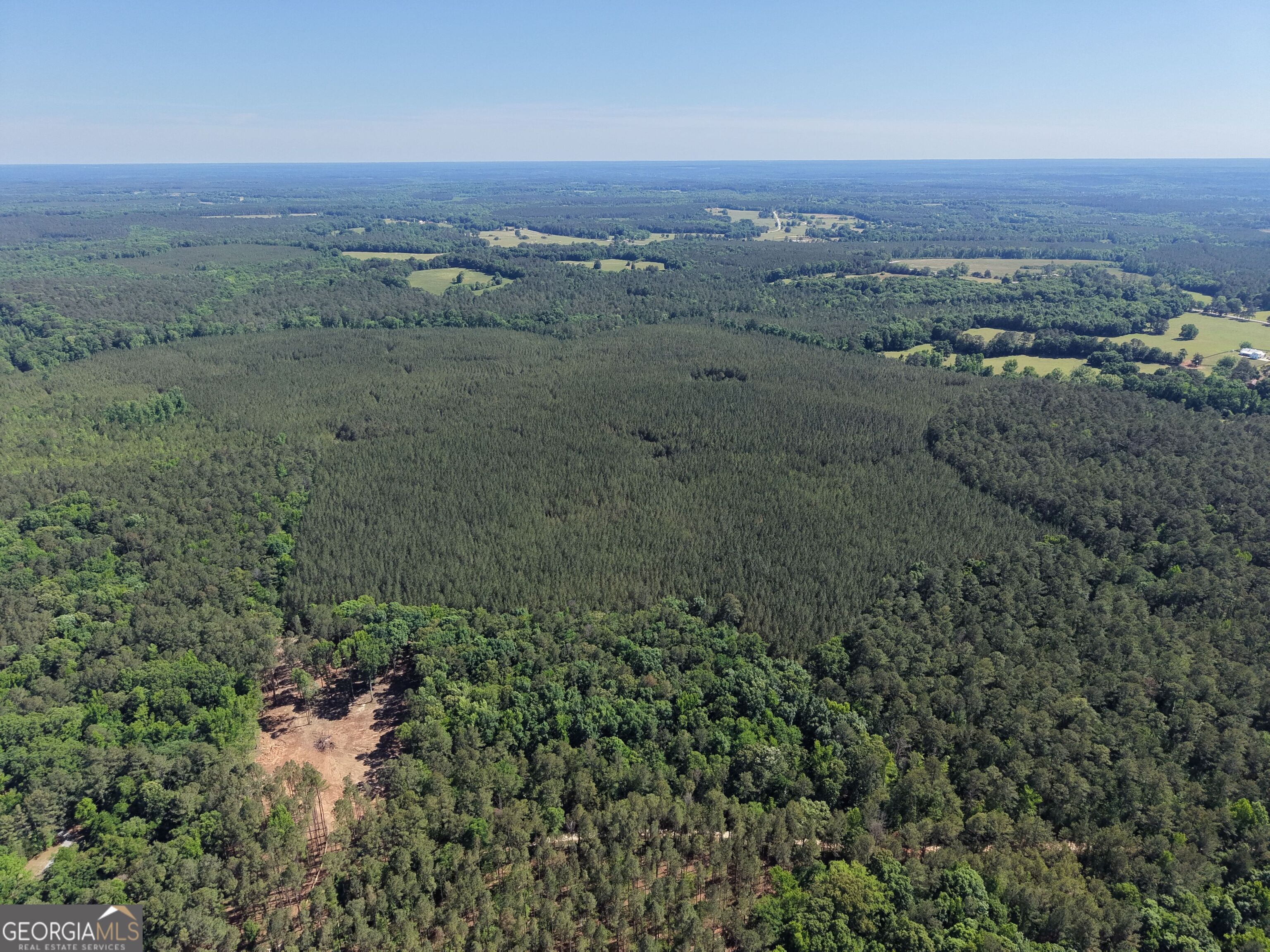 580 Saggus Road Washington, GA 30673 - Photo 48 of 54