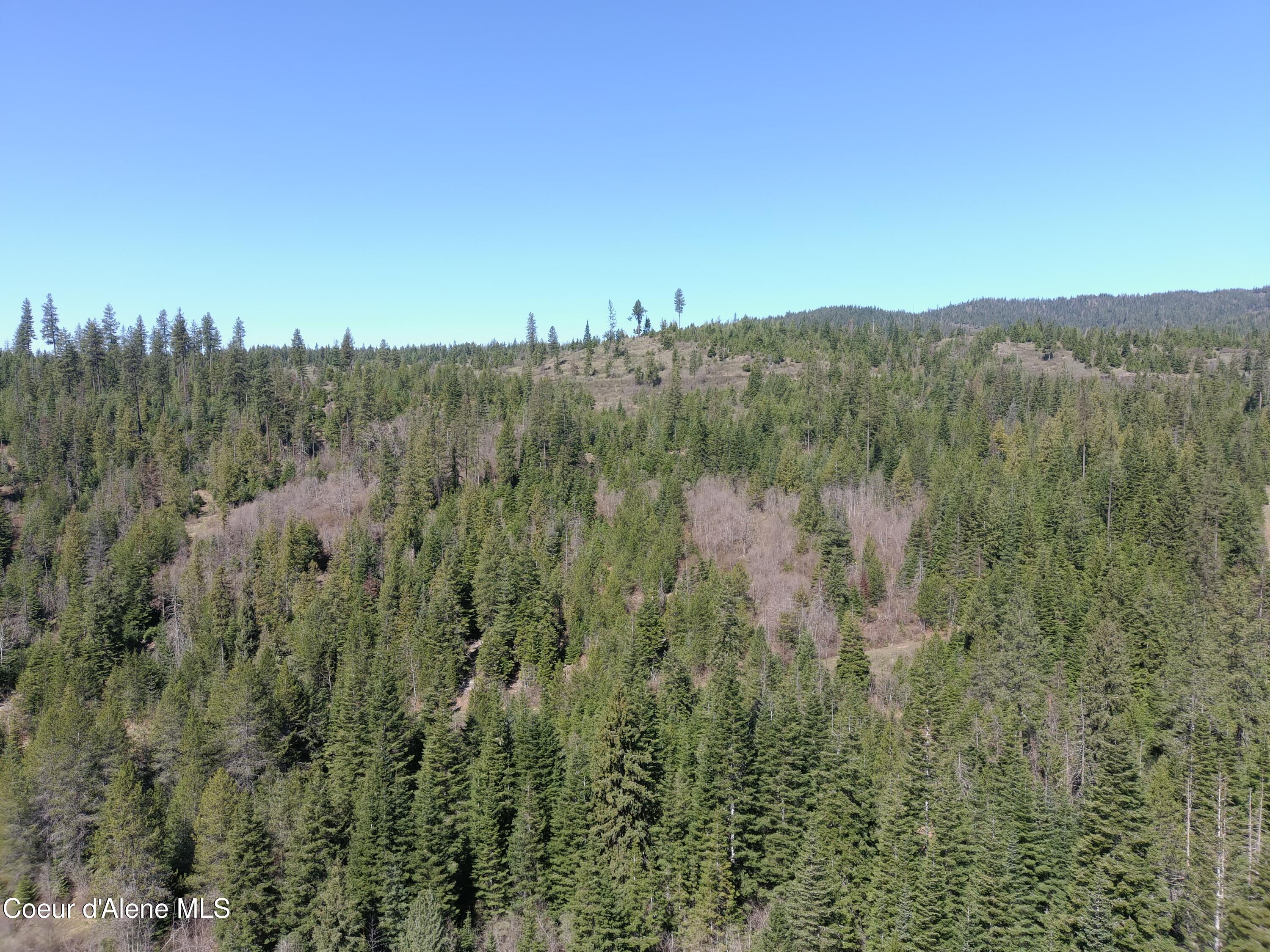 Carlin Creek Road, Unit 256 Harrison, ID 83833 - Photo 16 of 31 MAX_0012