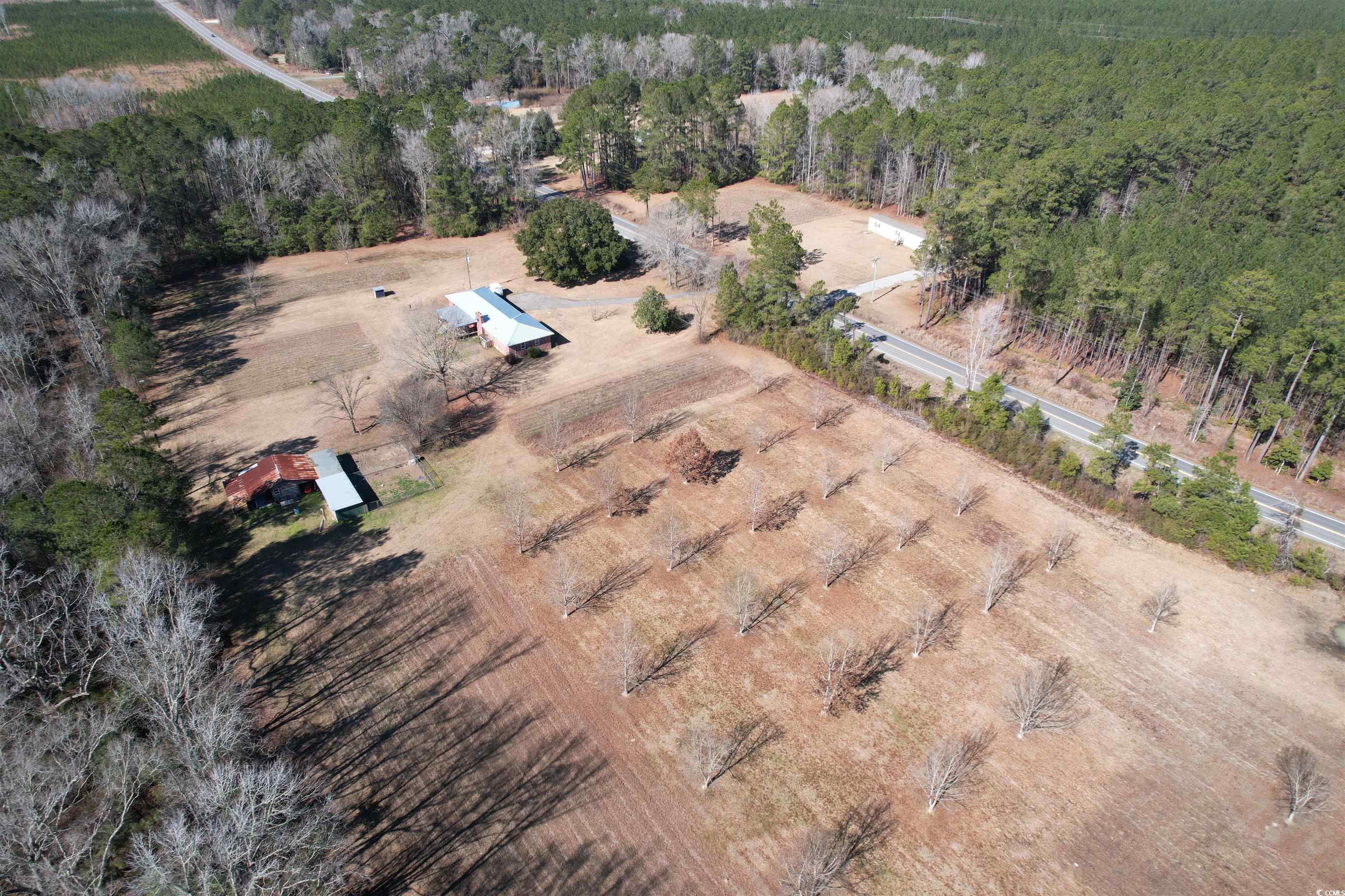 4575 Saints Delight Road Georgetown, SC 29440 - Photo 26 of 32