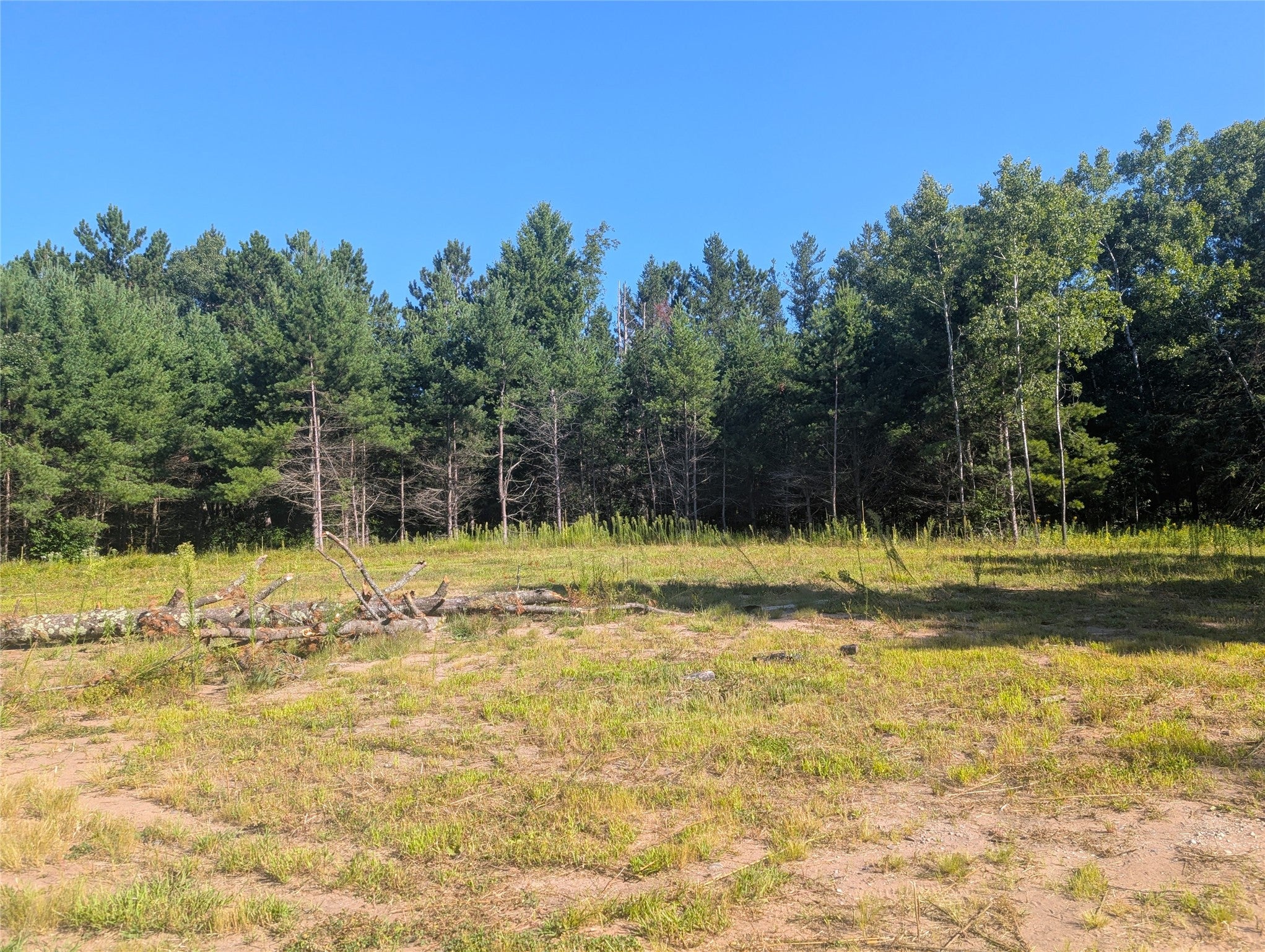 3380 West Highway 63 Springbrook, WI 54875 - Photo 4 of 14 Gallery Image 4