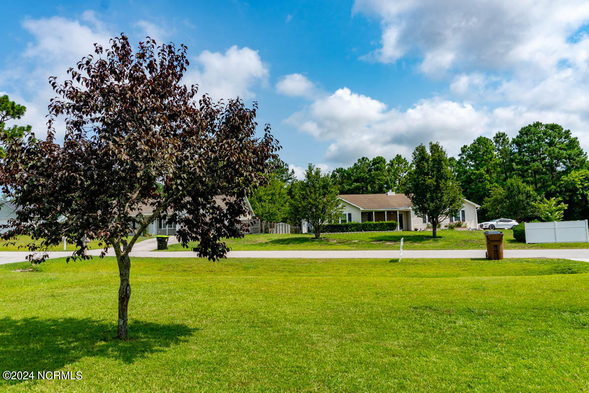 206 Parnell Road Hubert, NC 28539 - Photo 25 of 42 Front Yard