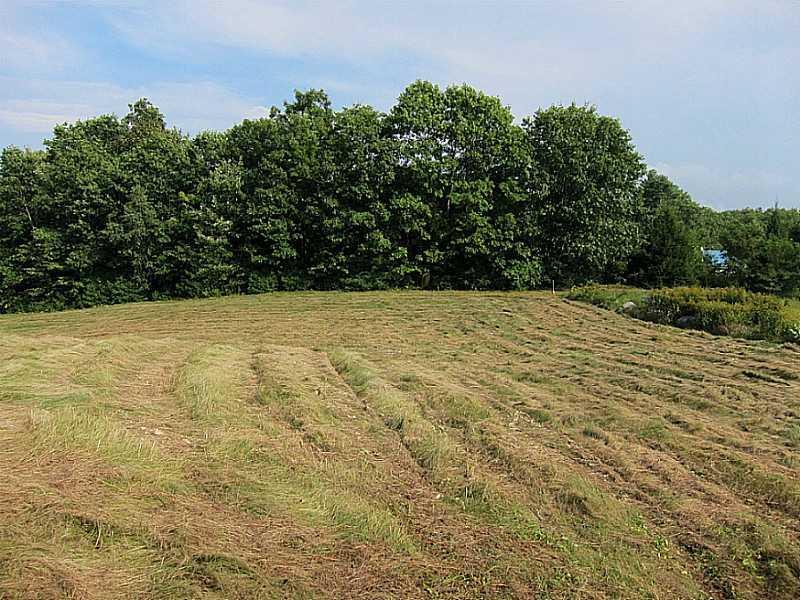 67 Emery Corner Road Limerick, ME 04048 - Photo 10 of 17 Back Yard. Standing behind the house...
