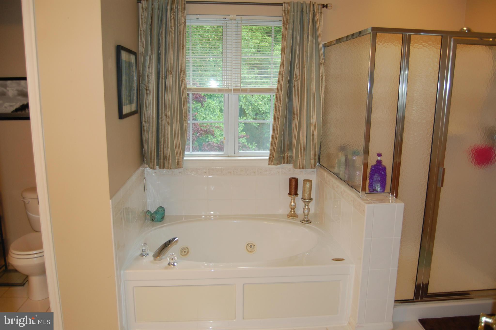 88 Jones Station Road Arnold, MD 21012 - Photo 23 of 29 Bath (Master)
