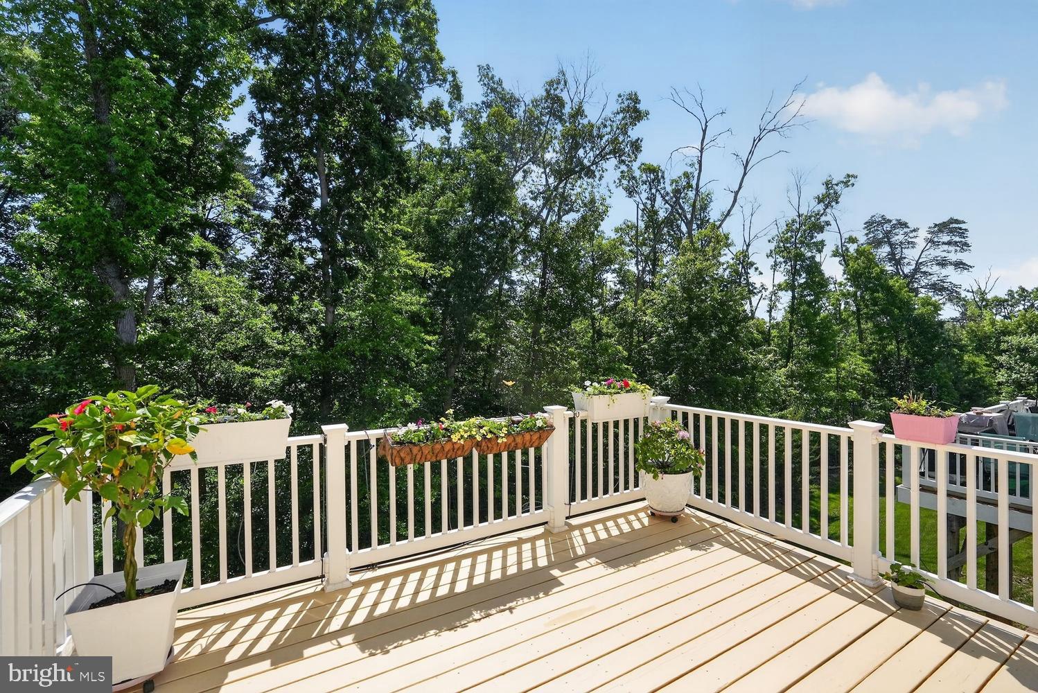 9209 Maggies Way Laurel, MD 20723 - Photo 21 of 34 Large deck off Kitchen backs to trees