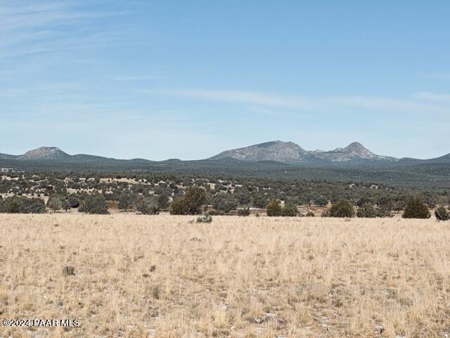 98 C Ten Tanks Road Williams, AZ 86046 - Photo 7 of 8 a view of mountain with snow in back