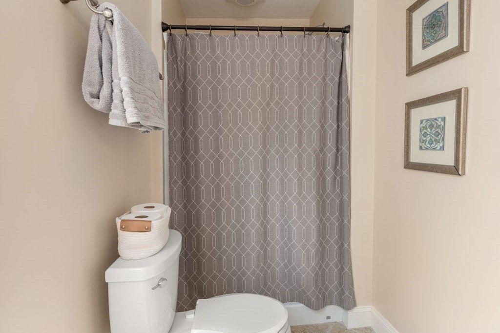 6 Willow Street Natick, MA 01760 - Photo 20 of 32 a white toilet sitting next to a shower curtain
