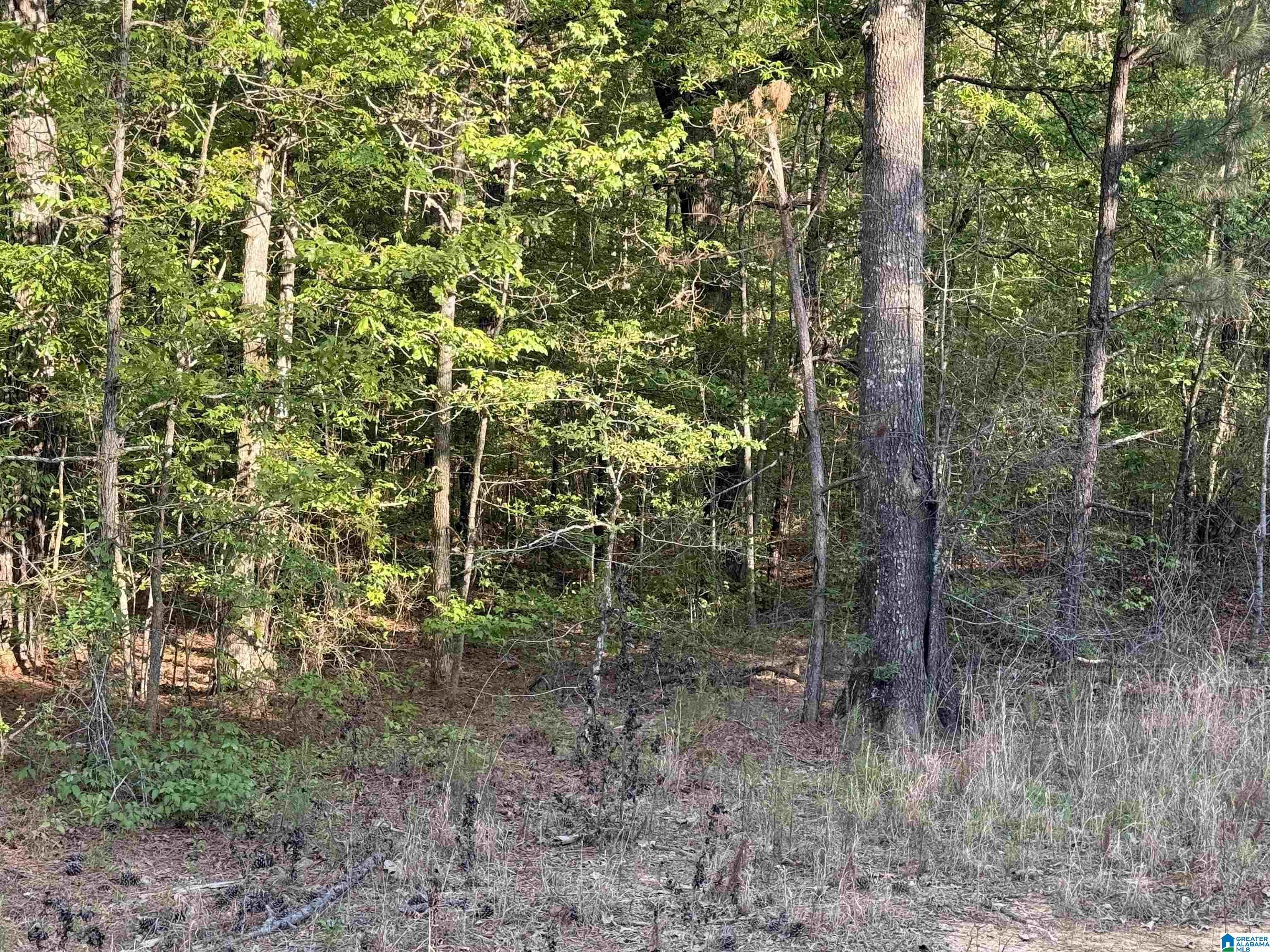 0 Piney Woods Road, Unit 3 Vincent, AL 35178 - Photo 5 of 16