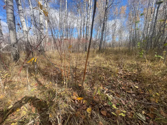 $148,000 | 58450 Korstad Road Northwest, Grygla, MN 56727