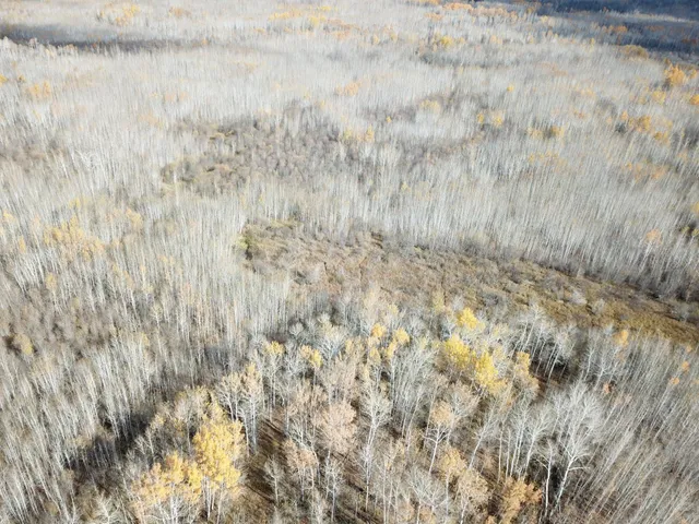 $148,000 | 58450 Korstad Road Northwest, Grygla, MN 56727