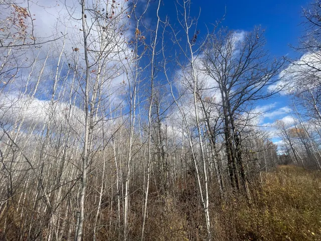 $148,000 | 58450 Korstad Road Northwest, Grygla, MN 56727