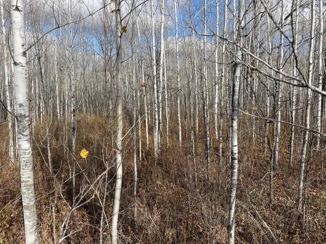 $148,000 | 58450 Korstad Road Northwest, Grygla, MN 56727