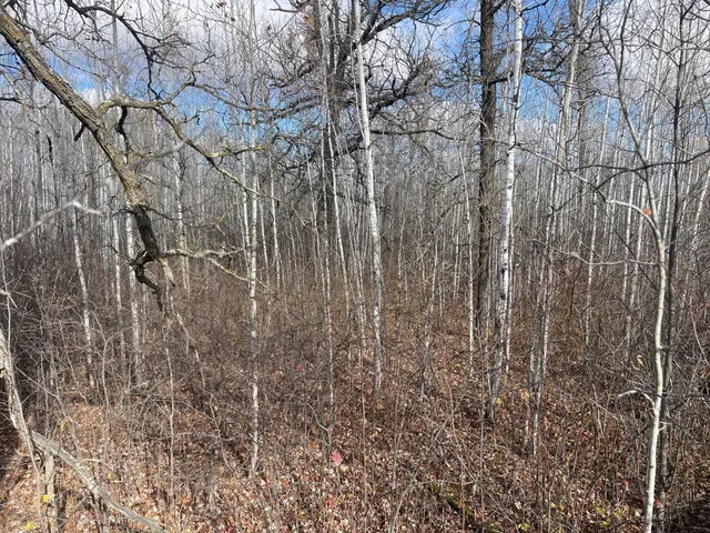 $148,000 | 58450 Korstad Road Northwest, Grygla, MN 56727