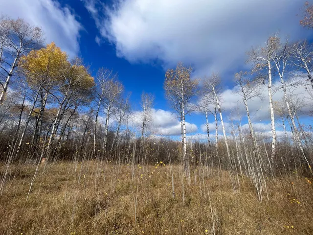 $148,000 | 58450 Korstad Road Northwest, Grygla, MN 56727