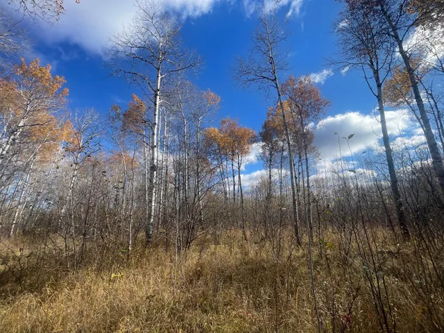 $148,000 | 58450 Korstad Road Northwest, Grygla, MN 56727