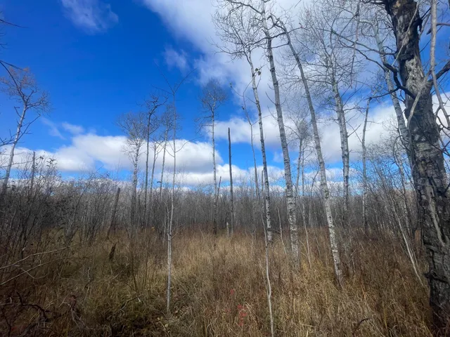 $148,000 | 58450 Korstad Road Northwest, Grygla, MN 56727