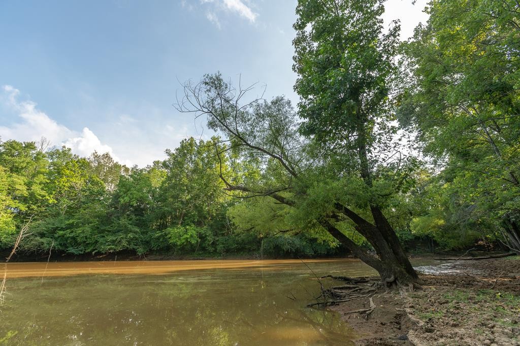 0 Hickory Grove Road Madisonville, TN 37354 - Photo 20 of 32 Gallery Image 20