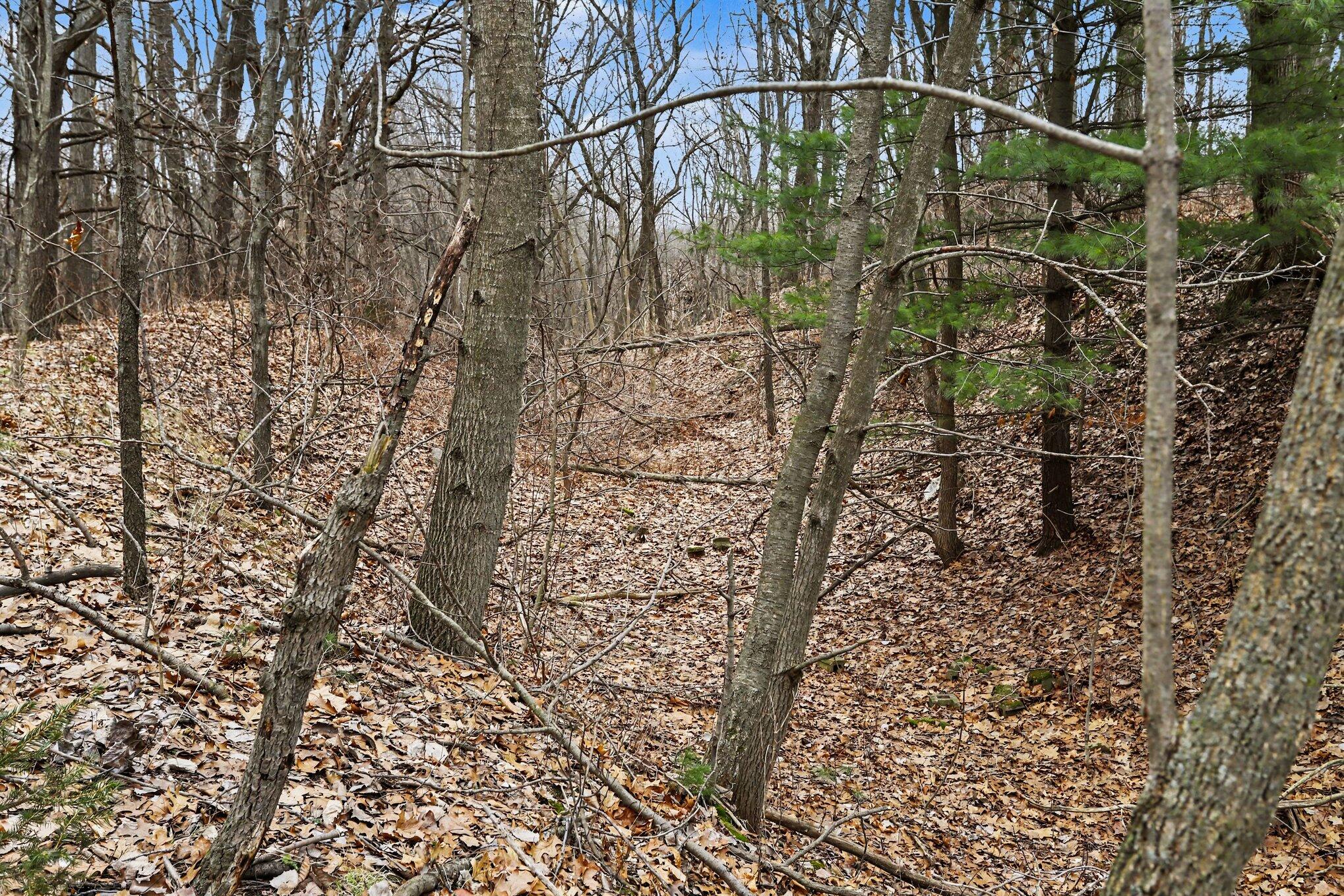 V/l V/l Jones Road Battle Creek, MI 49017 - Photo 11 of 24 011_file_2275