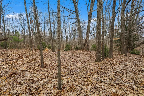 $350,000 | V/l V/l Jones Road, Battle Creek, MI 49017